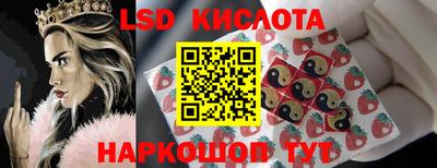 стаф Новокубанск