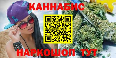 стаф Новокубанск