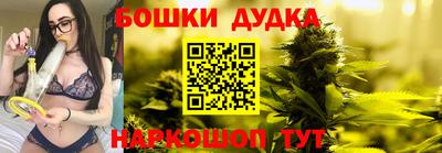стаф Новокубанск