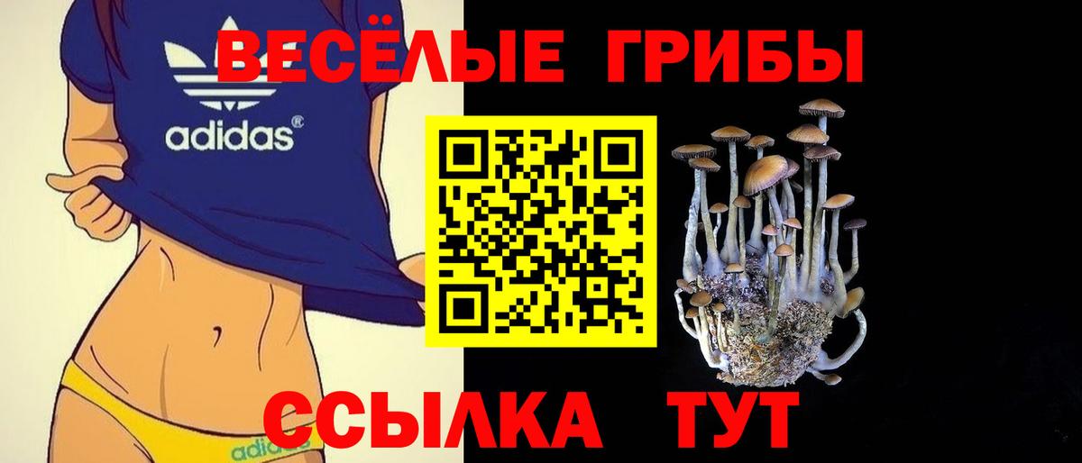 Галлюциногенные грибы мицелий  Вход с VPN  Семёнов 